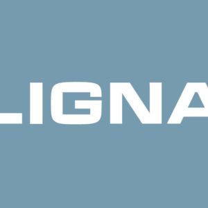LIGNA 2019 creates fertile climate for future investment
