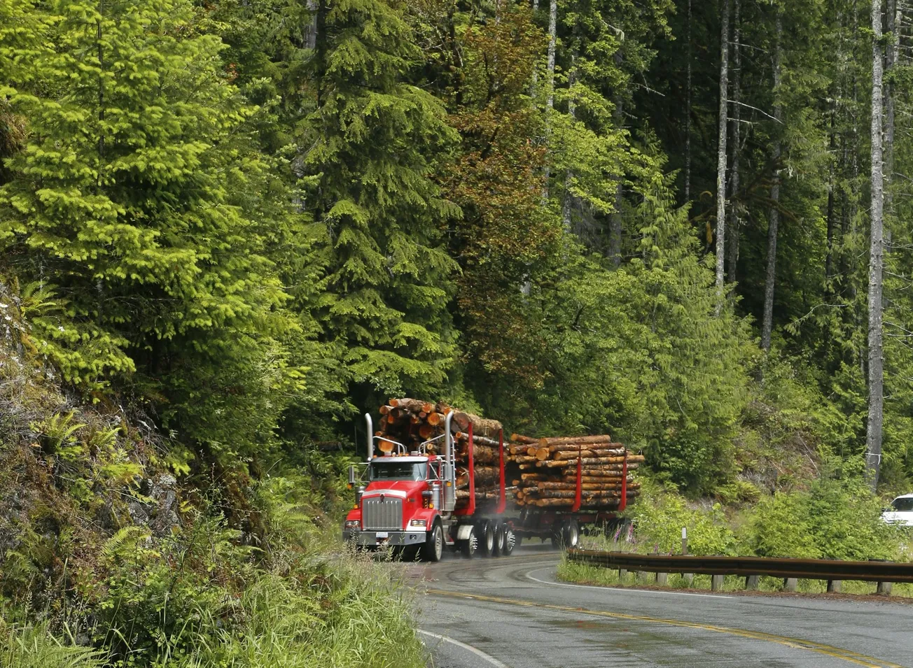 Executive Order Increases Timber Harvest